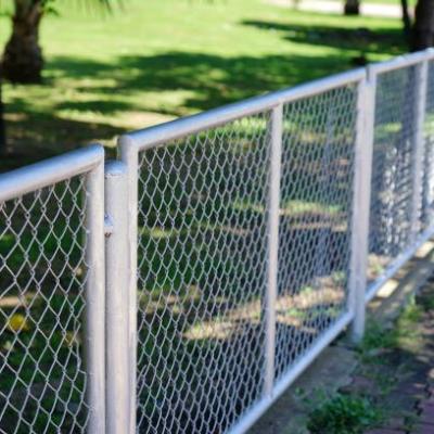 Stainless Steel Fencing 00006