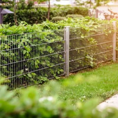 Stainless Steel Fencing 00007